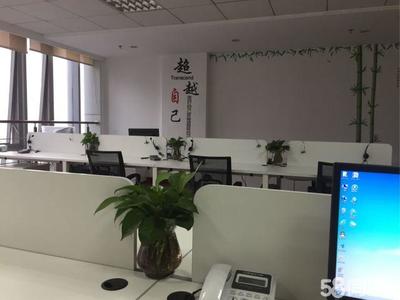 寧波杉宇信息咨詢 專業(yè)服務(wù)助力企業(yè)發(fā)展